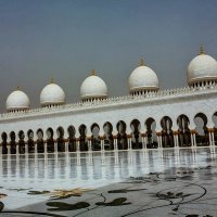 UAE 48 :: Arturs Ancans