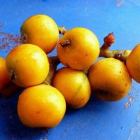 ...мушмула :: Александр Герасенков