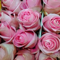 Нежность :: Надежда 