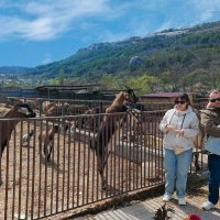 В Каралезской долине :: Александр Рыжов В Каралезской долине :: Александр Рыжов