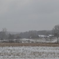 Зимняя опушка :: Олег Подлесных