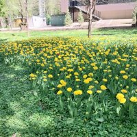 ...... :: Murat Bukaev 