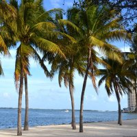 Океан :: Таня Фиалка