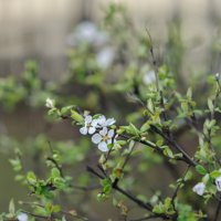 ,,, :: Николай 