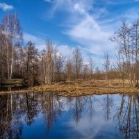 Весенняя прогулка 7 :: Андрей Дворников