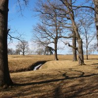 Парк Александрия :: Наталья Герасимова