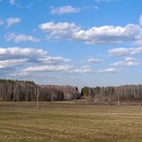 Весеннее небо. :: Alexandr Gunin