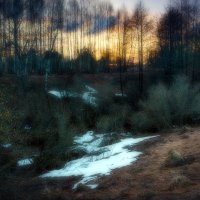 Последний снег. :: Алексей Окунеев