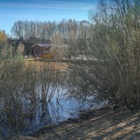 "Весенняя дымка пробуждения"© :: Владимир Макаров