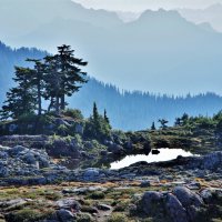 Утро в горах :: Viktor Odysey