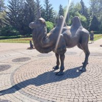 Almaty. :: Murat Bukaev 