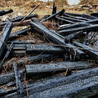 ОПЯТЬ ОТ МЕНЯ СБЕЖАЛА ПОСЛЕДНЯЯ ЭЛЕКТРИЧКА. ПСИХАНУЛ :: Юрий Вовк