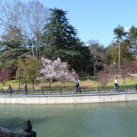 Пейзажи  Крыма :: Валентин Семчишин