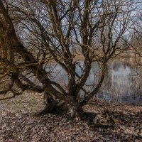 *** :: Геннадий Порохов