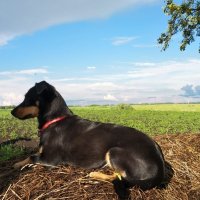 тори :: Евгений 