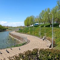 Ростовские зарисовки :: Александр Гапоненко