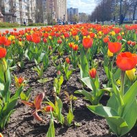 ,,, :: Сергей Тимоновский