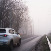 Утро. Туман. Дорога :: Dar(k) Life