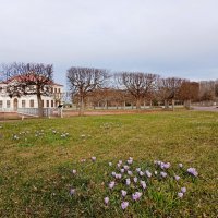 Апрель-2026 в Петергофе. :: Лия ☼