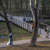 Прогулки в Весеннем Парке :: юрий поляков