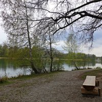 "нежностью апрель обременяет..." :: Галина 