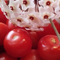 Цветы и плоды :: Александр Чеботарь