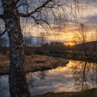 Река Молокча :: Денис Бочкарёв