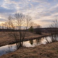 Река Молокча :: Денис Бочкарёв