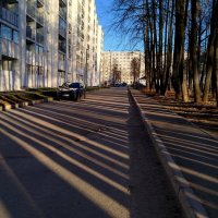 Полосатость :: светлана льдокова