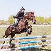 Конкур :: SanSan 