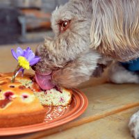 Полировальщик высшей категории... )) :: Владимир Хиль