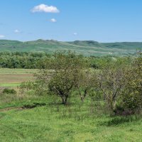 Мои любимые окрестности :: Игорь Сикорский