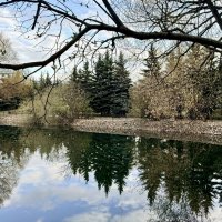 «Весна в в городе. Апрель’26» :: Арина Невская