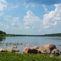 Озеро Мерёвское. Начало лета :: Сергей Сомихин