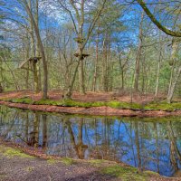 Пруд :: Jakob Dick