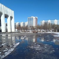 *** :: Лариса С.