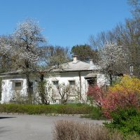 Весенние  краски :: Валентин Семчишин