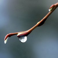 После дождя. :: Вячеслав. Синицын