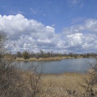 **** :: Виктор 