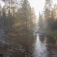 После дождя :: Vladimbormotov 