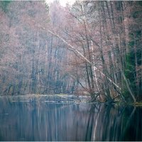 ручей Рябиновка. Апрель. :: Вячеслав Владимирович