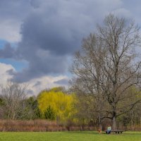 В весеннем парке... :: Владимир Жданов