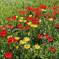 Ростовские зарисовки :: Александр Гапоненко