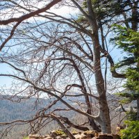 Утёс :: Виктор Скаков