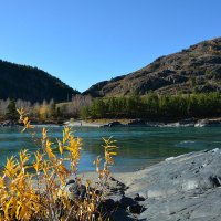 Катунь :: Валерий Медведев