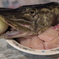 Хищница :: Татьяна Машошина