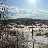 На просторах Родины… :: Pippa 