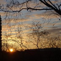 Каждое утро солнце просыпается! Иногда его видно, иногда нет! :: Anna-Sabina Anna-Sabina