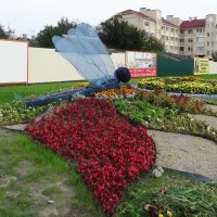 Стрекоза :: PRP 