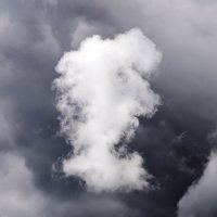 Кого-то оно мне напоминает в профиль :: Валерий Иванович